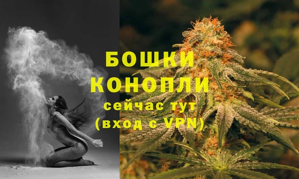 винт Бронницы